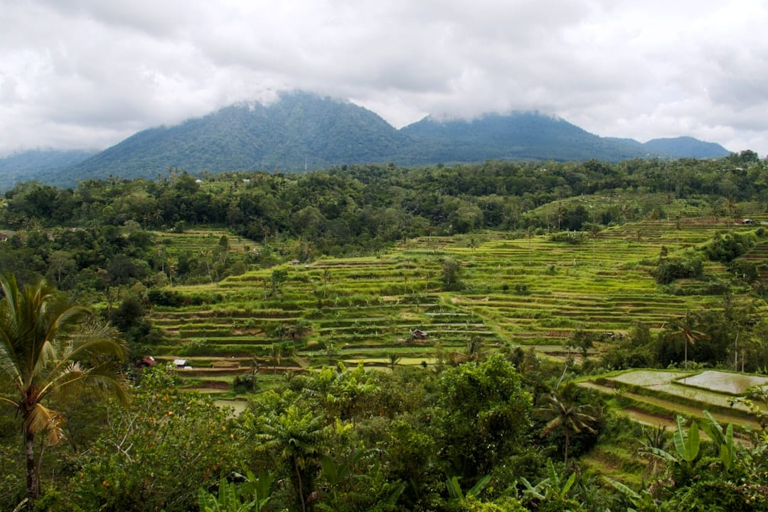 Bali Solo Trip: 5 Days Budget Guide for Indians 2026