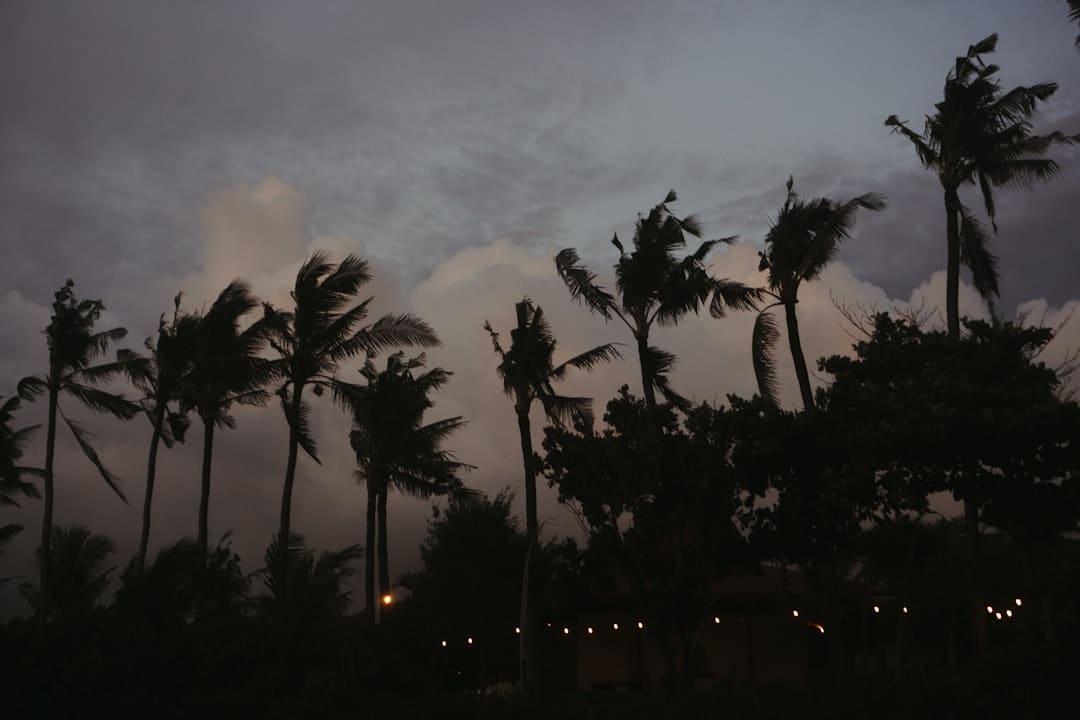 Bali Travel Guide 2026: Complete Trip Planner for Indians