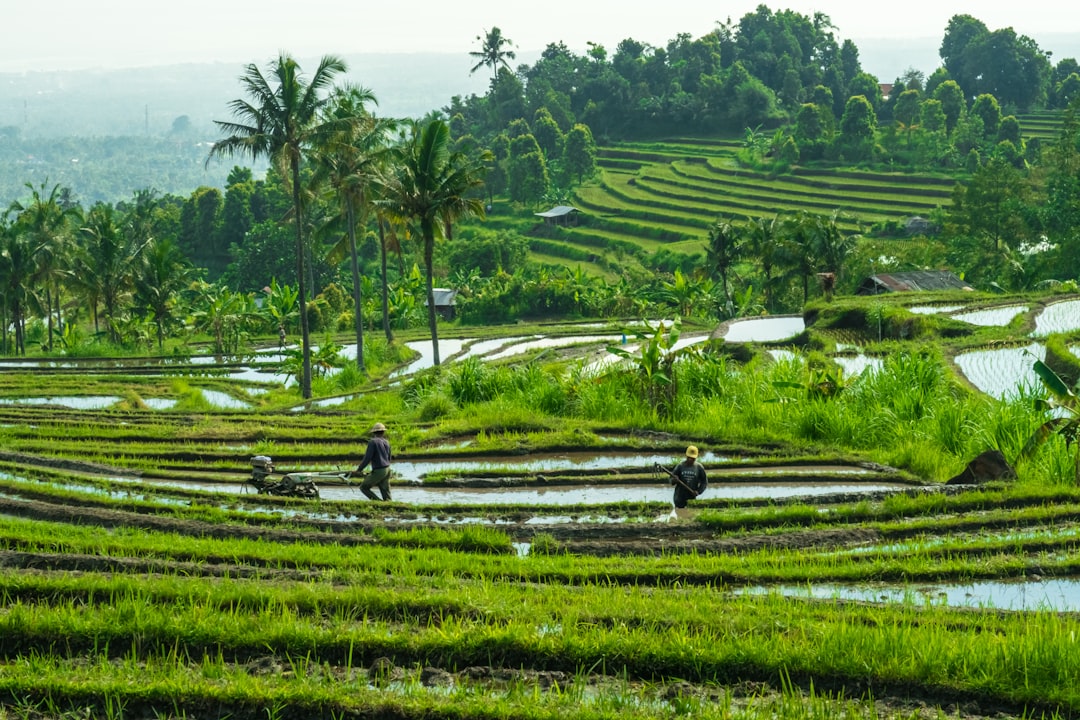 Best Honeymoon Destinations Abroad for Indians 2026: Bali & Gili