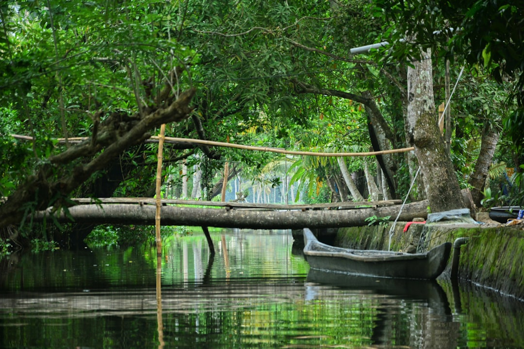 Kerala Travel Guide 2026: Backwaters, Beaches & Costs