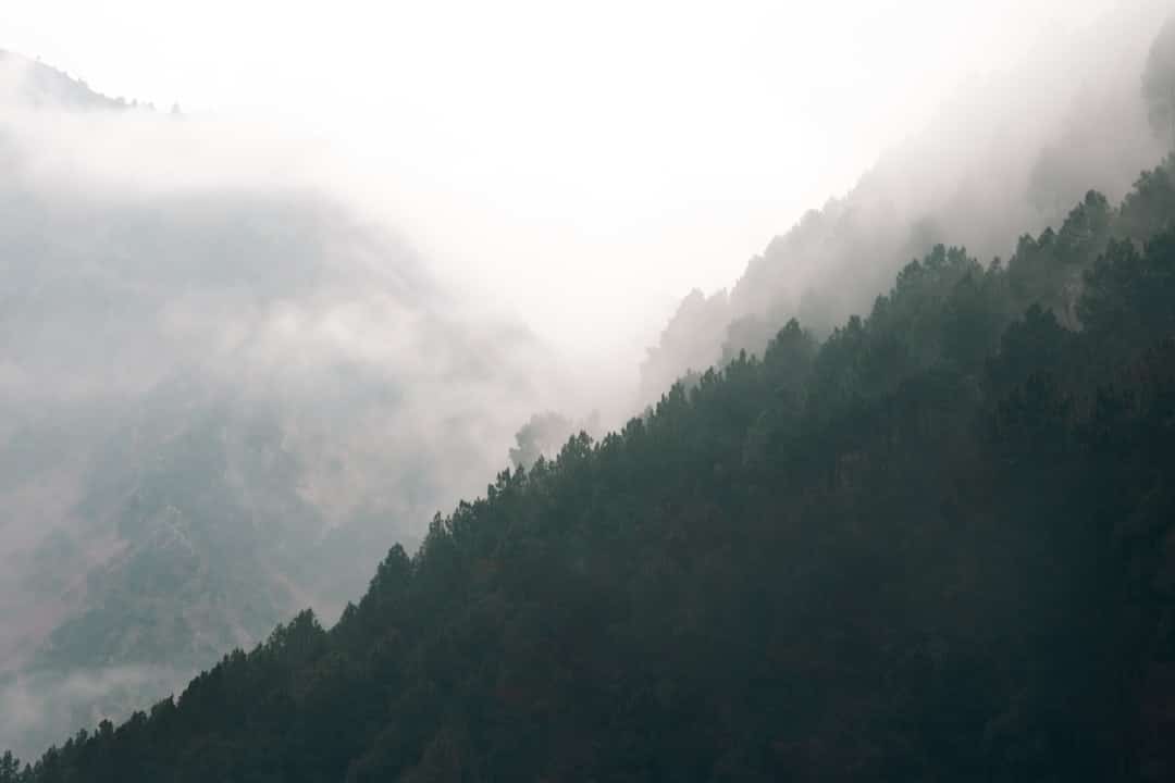 Manali Travel Guide 2026: Complete Trip Planner for Indians
