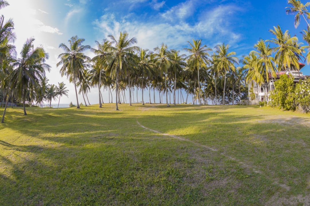 Sri Lanka 7 Days Itinerary from India Budget (₹35,000/person)